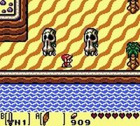 une photo d'Ã©cran de The Legend of Zelda - Link s Awakening DX sur Nintendo Game Boy Color